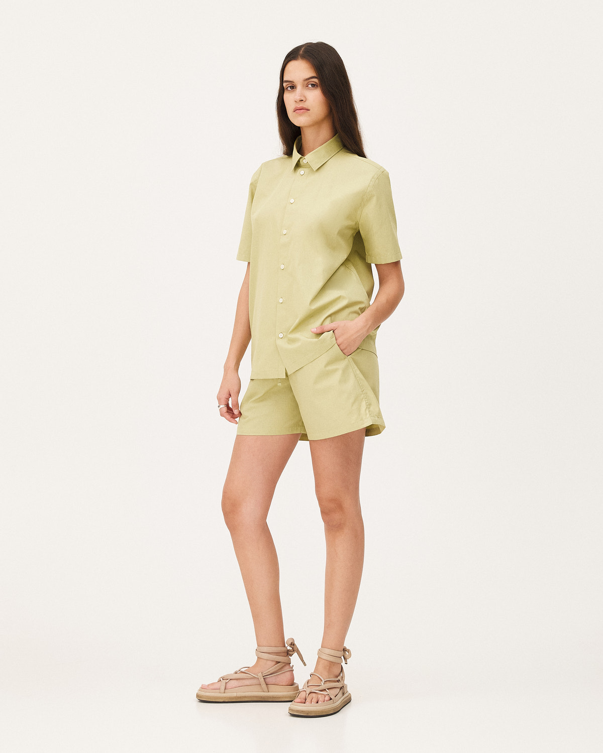 Rio Pistachio